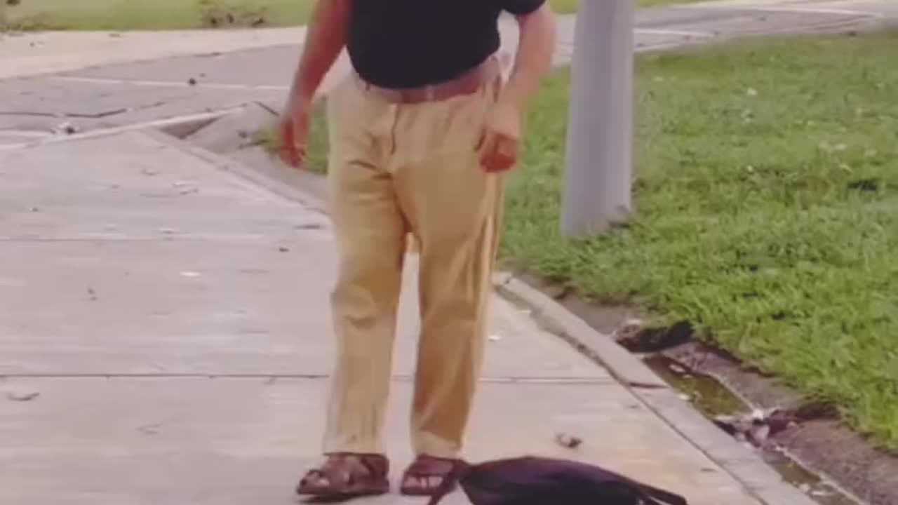 funny comedy