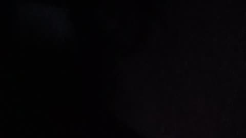 FIRE NOEM, BONDI & KASH PATEL #FAFO #SHREK #FIONA #FUNKOPOP