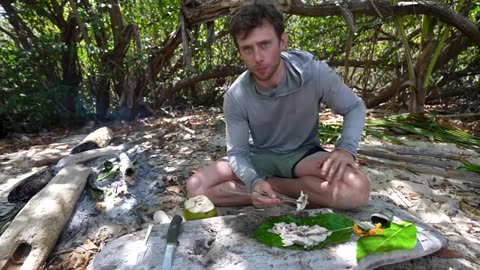 5 Days Solo Island Survival No Food, Water, or Shelter_part8