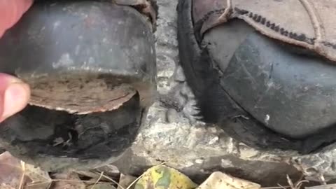 WHAT SONG IS THIS???