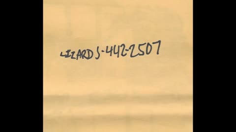 The Lizards - Tour Tape (1994, Sacramento)