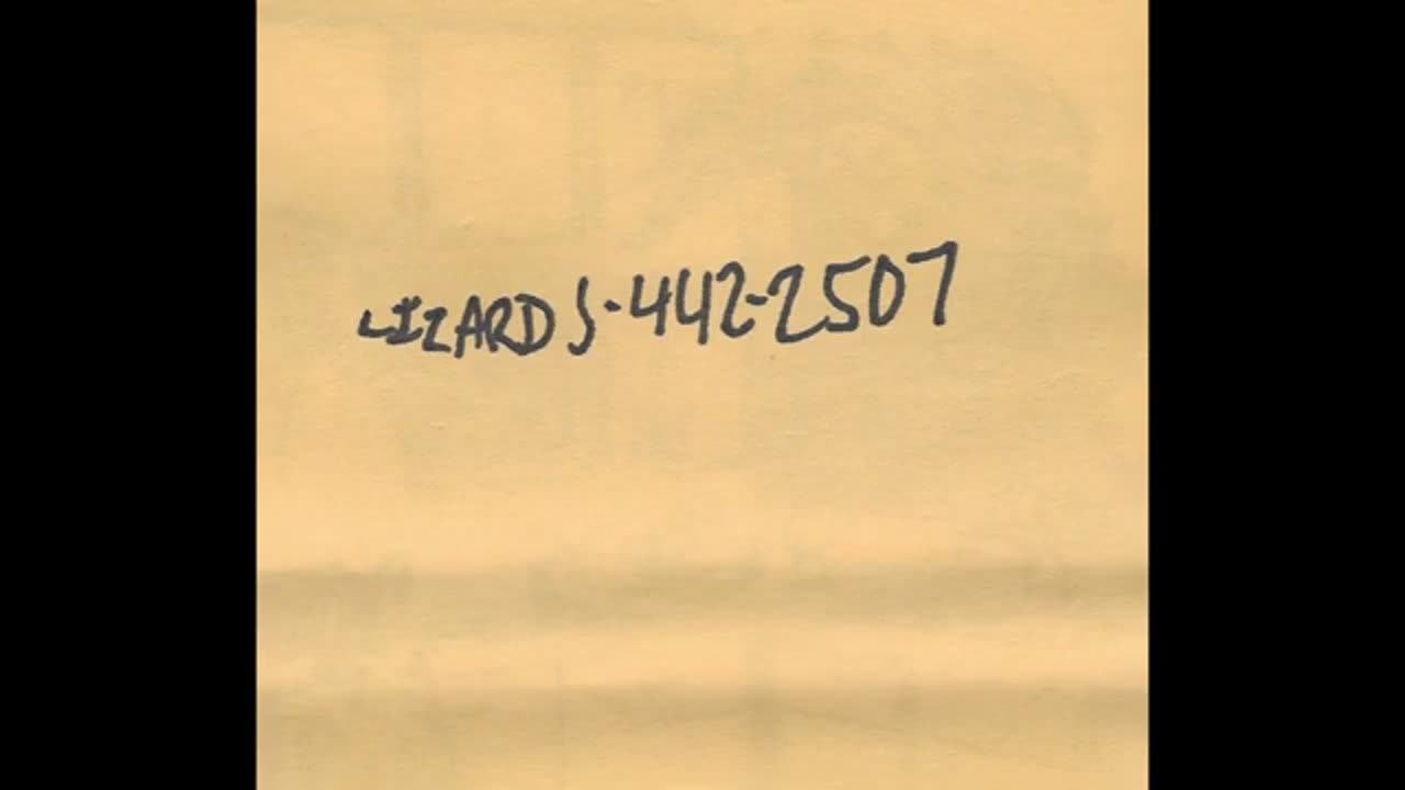 The Lizards - Tour Tape (1994, Sacramento)