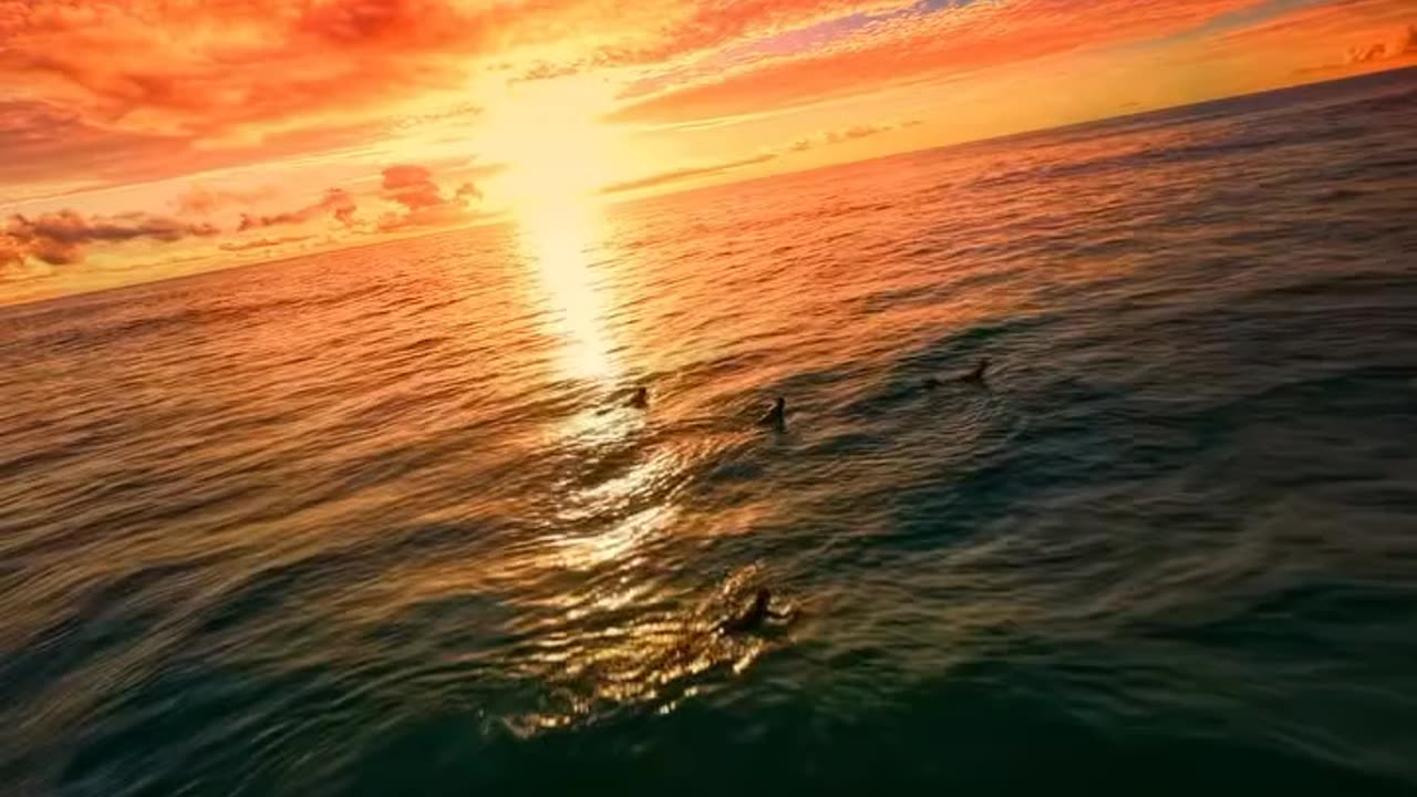 Breathtaking Sunset Over the Ocean – Nature’s Pure Magic