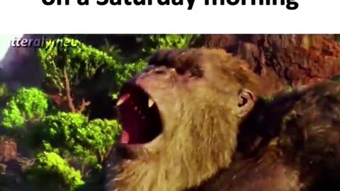memes scavenged from the corners of the internet part 248