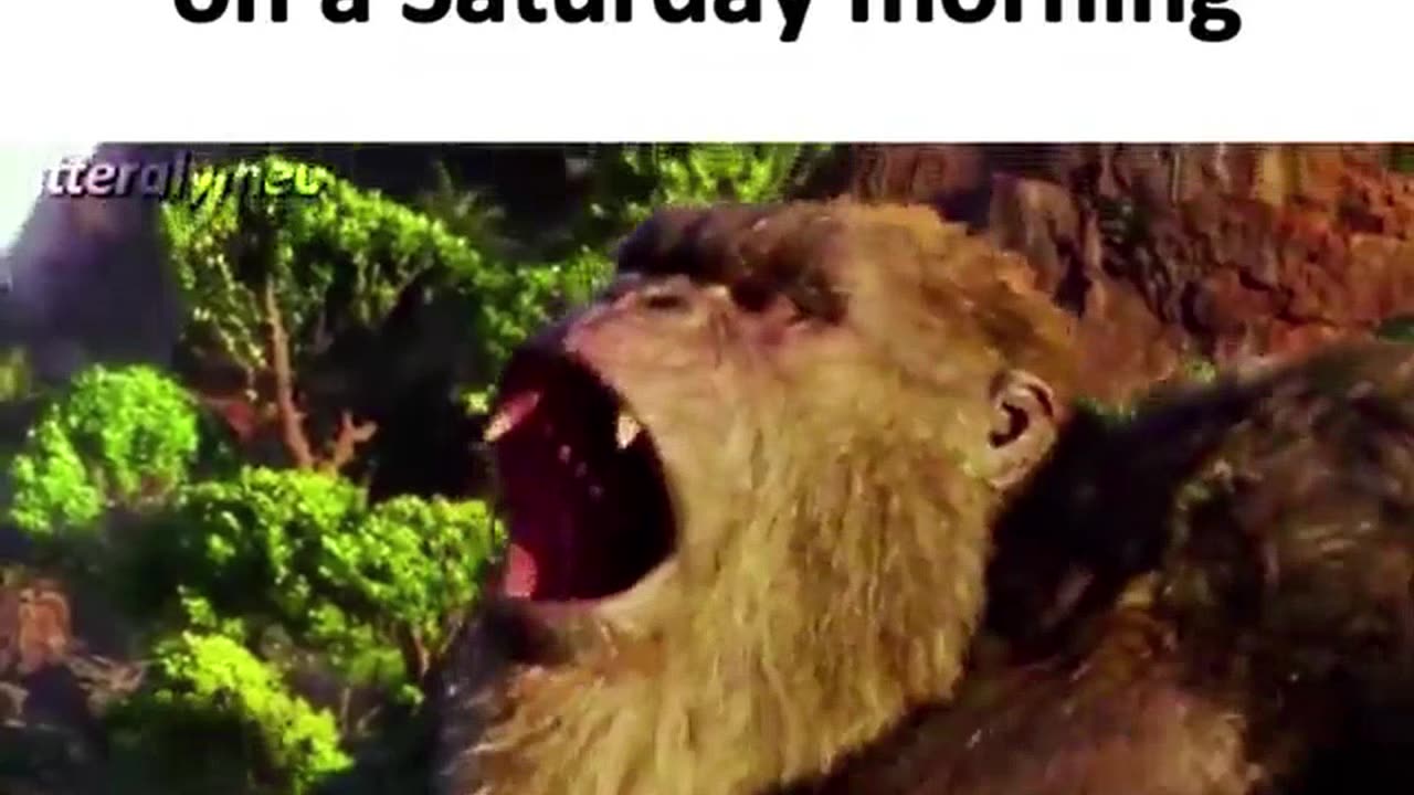 memes scavenged from the corners of the internet part 248