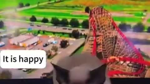 Funny cat videos 😂😂