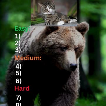 Animal Picture Quiz: Easy to IMPOSSIBLE! Can You Guess Them All?