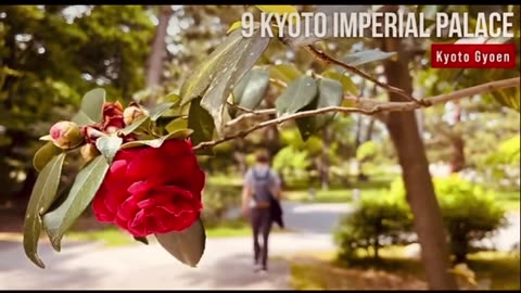 One of the Amazing cities around the world