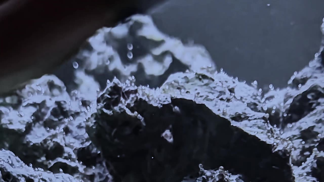 Don’t Cross “The Scraper” – Reef’s Realest Enforcer