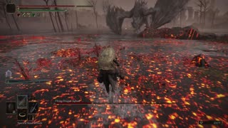 Elden Ring NG+1 | Flying Dragon Agheel boss fight solo on NG+1 #eldenringboss #eldenring