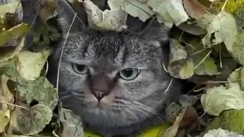 Trying to hide from my problems