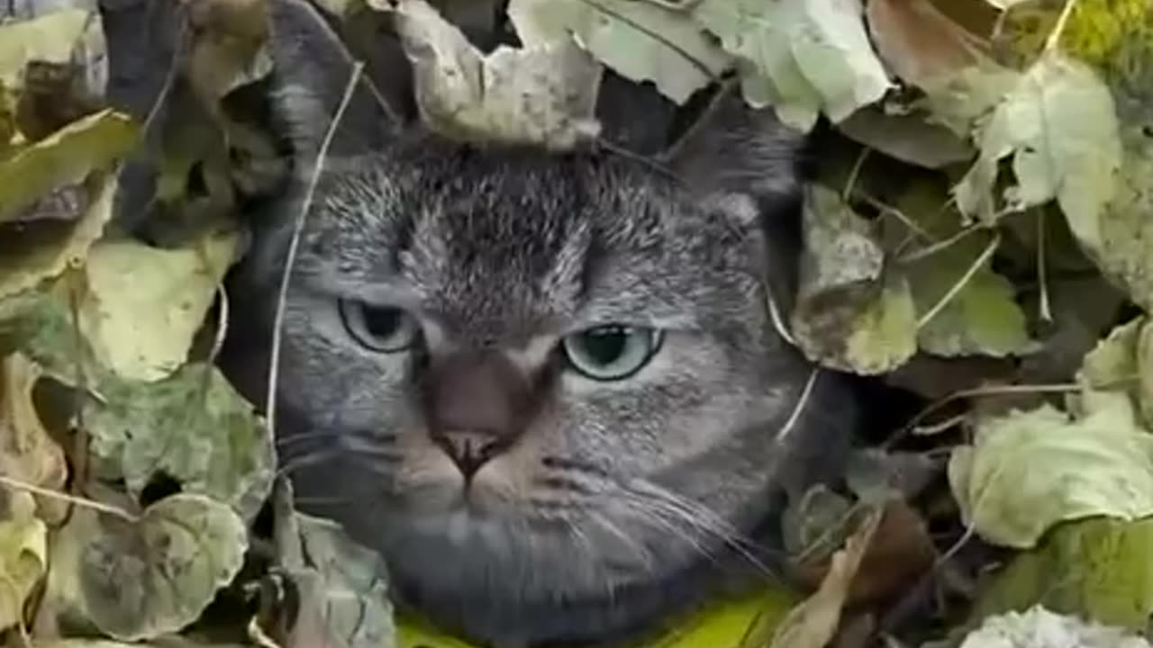 Trying to hide from my problems