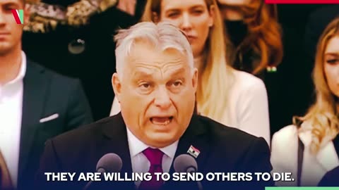 Brussels has chosen war