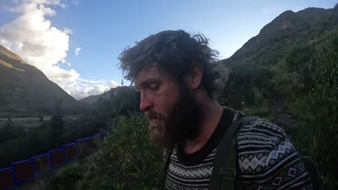 Immersed in nature