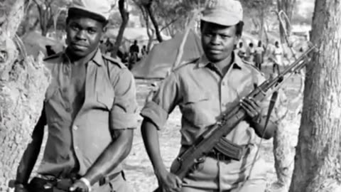 The Rhodesian Bush War