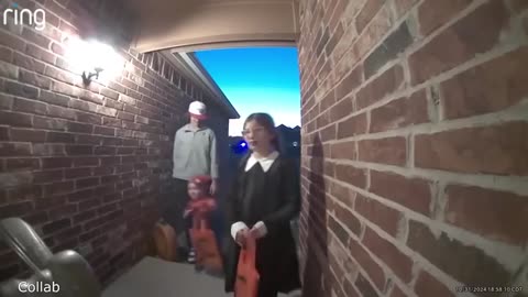The Best Of The Internet