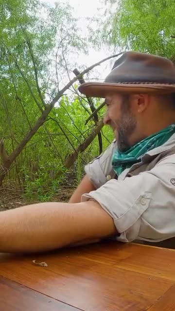 Stung By The Cicada Killer