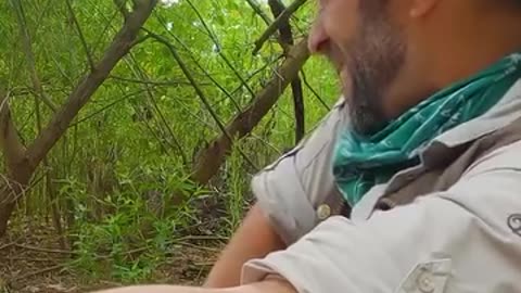 Stung By The Cicada Killer