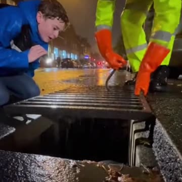 Baby Fox in the Drain