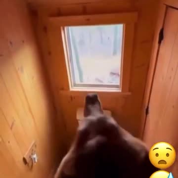 Watching your crypto portfolio pump and a BIG RED CANDLE comes out of nowhere and liquidates you