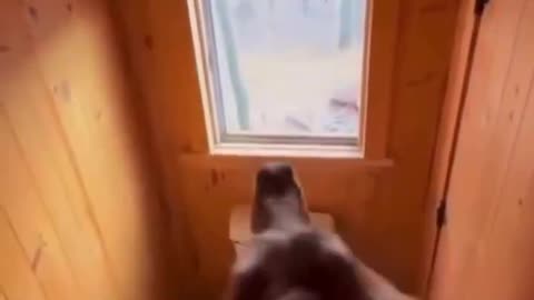 Watching your crypto portfolio pump and a BIG RED CANDLE comes out of nowhere and liquidates you