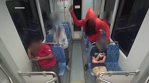Chilling Video Shows Moments Before Ukrainian Woman Stabbed to Death on Charlotte Train