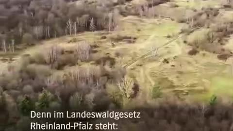 Ein Eintrittsgeld für den Wald? Scheint, als ob die Verwaltung der BRD nach neuen Wegen sucht...