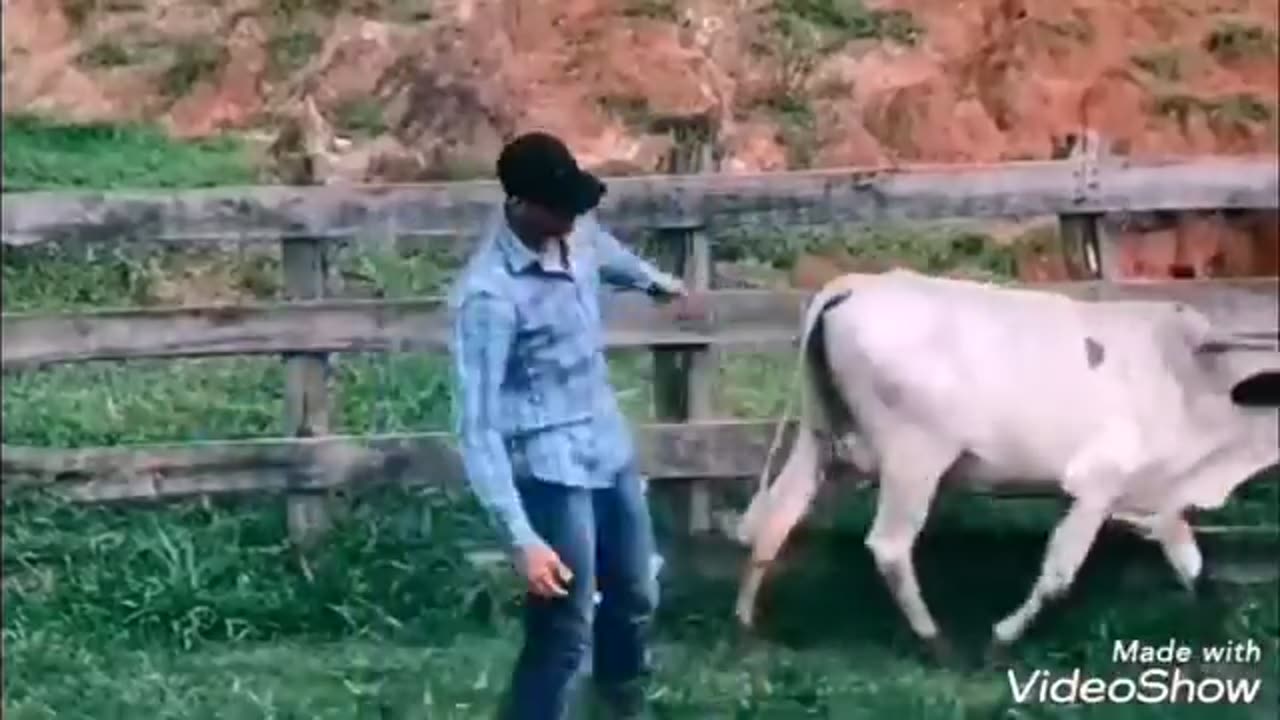 Táncoljon mindenki! Múltkor is bejött! (covid újratöltve)