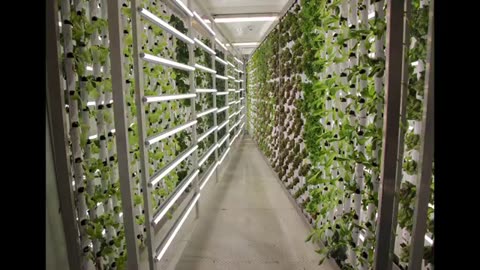 FarmBox Foods - Who We Are and What We Do