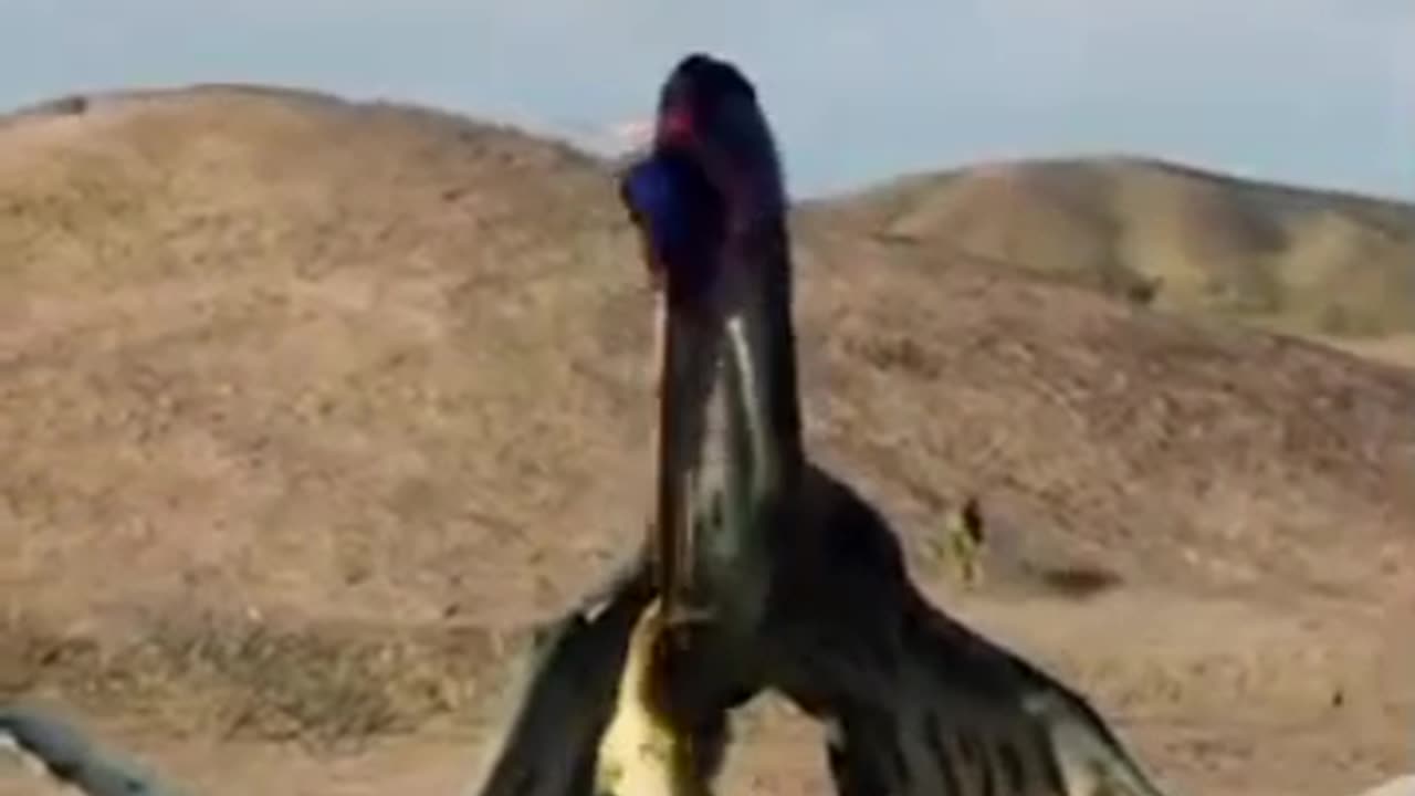 Jurassic park food dance