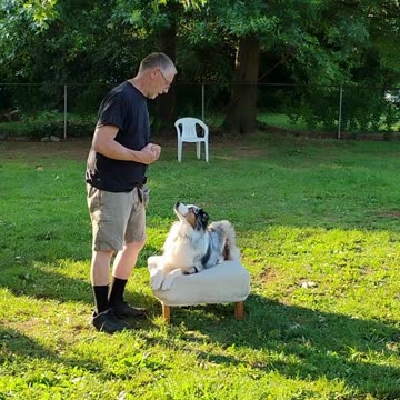 Shaping the Stay Cue short 9