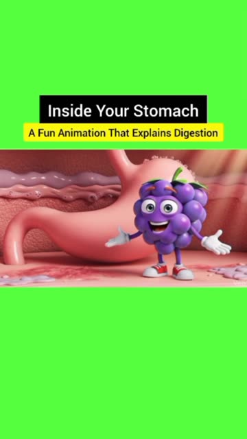 What Happens When Food Reaches Your Stomach? For Everyone