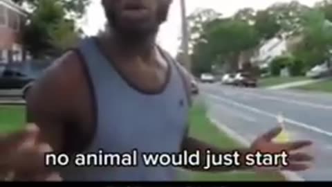 Jogging is killing you!