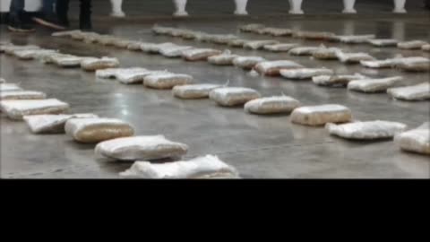 INCAUTADAS 615 PANELAS DE PRESUNTA DROGA EN APURE