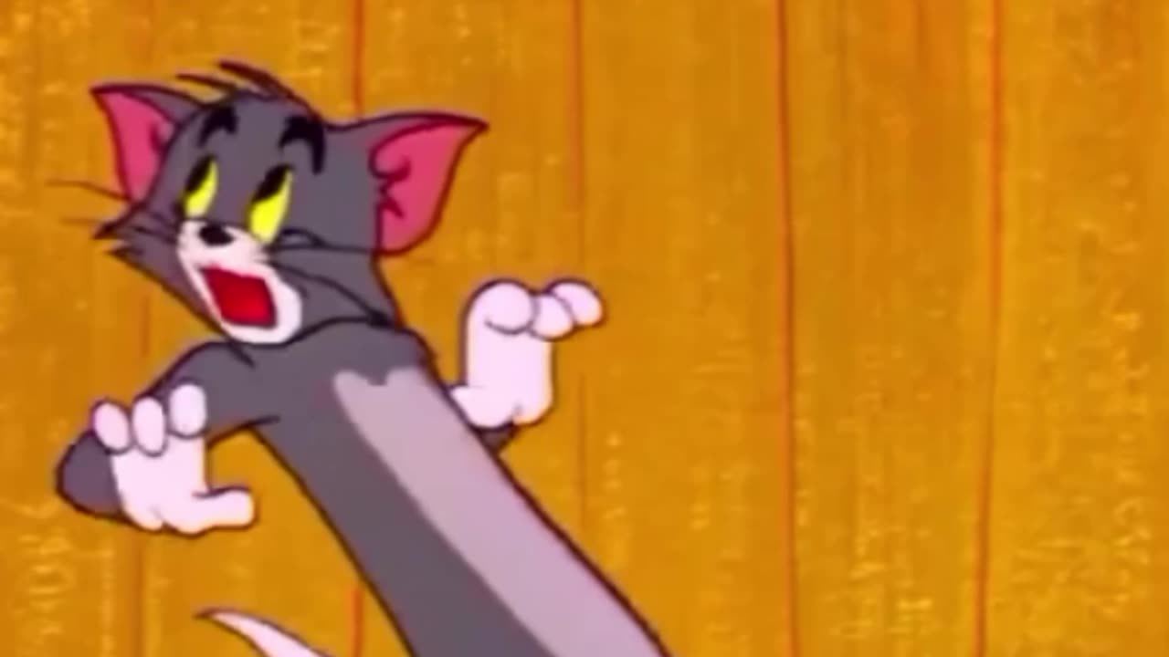 funny funny videos funny jokes funny animals funny memes funny movies funny bone funny pictures