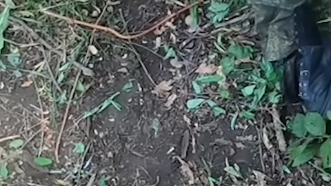 Ukrainian Soldier Treats Russian POW Humanely #warinukraine