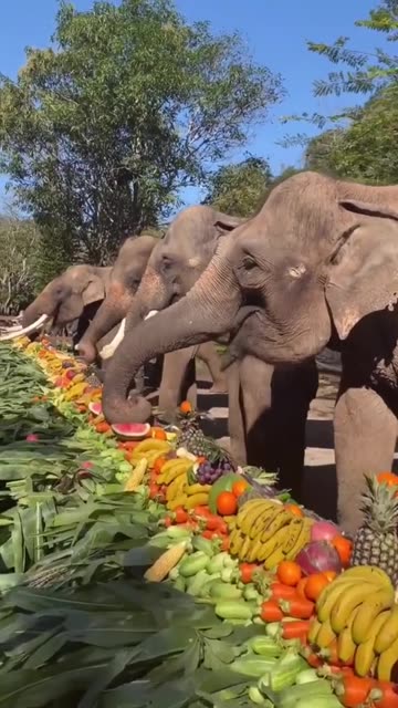 A much deserved lunch offering