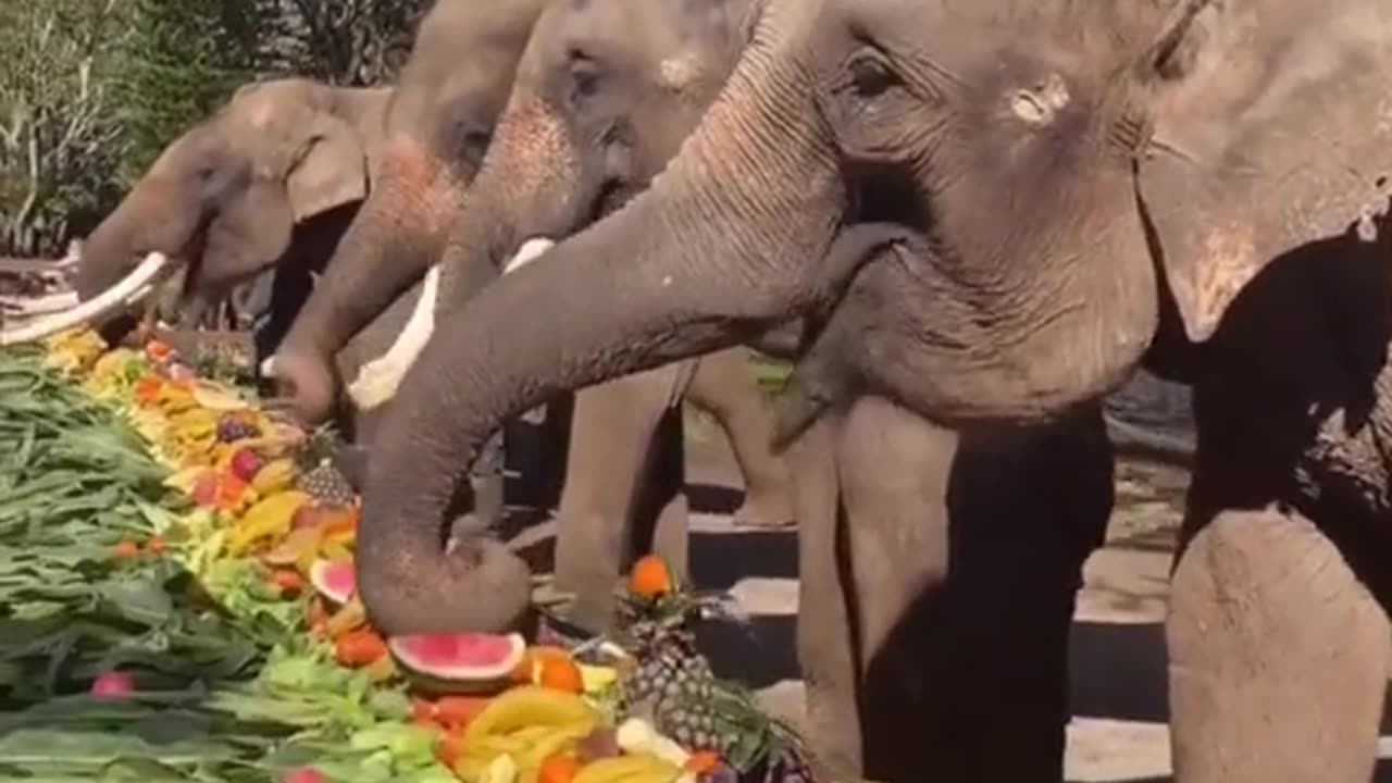 A much deserved lunch offering