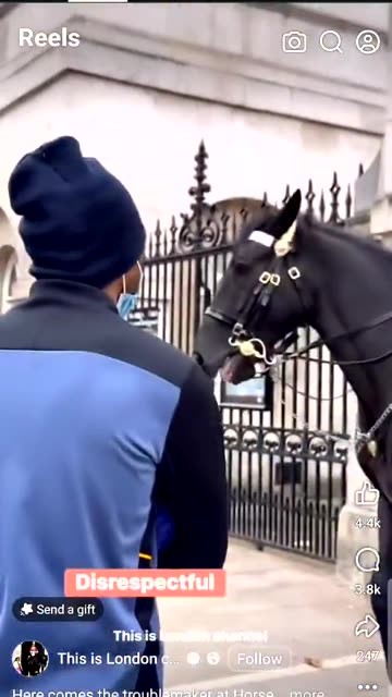 Black tries scare kings guard