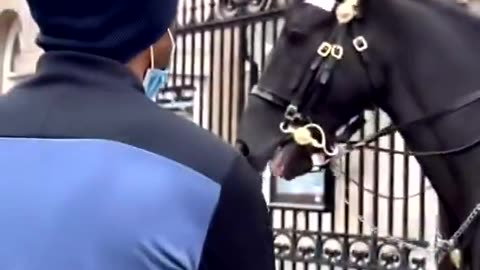 Black tries scare kings guard