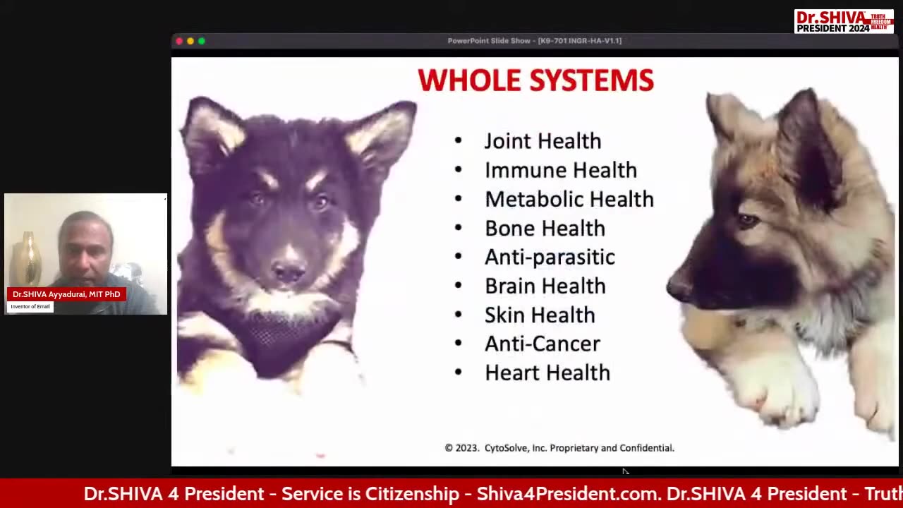 Dr.SHIVA™: Hyaluronic Acid for Holistic Pet Health in K9-701™(12/23)