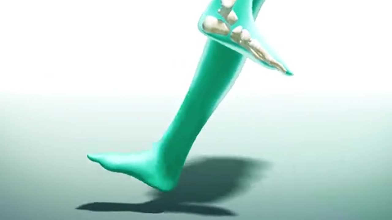 Rotationplaaty Procedure 3D Animation