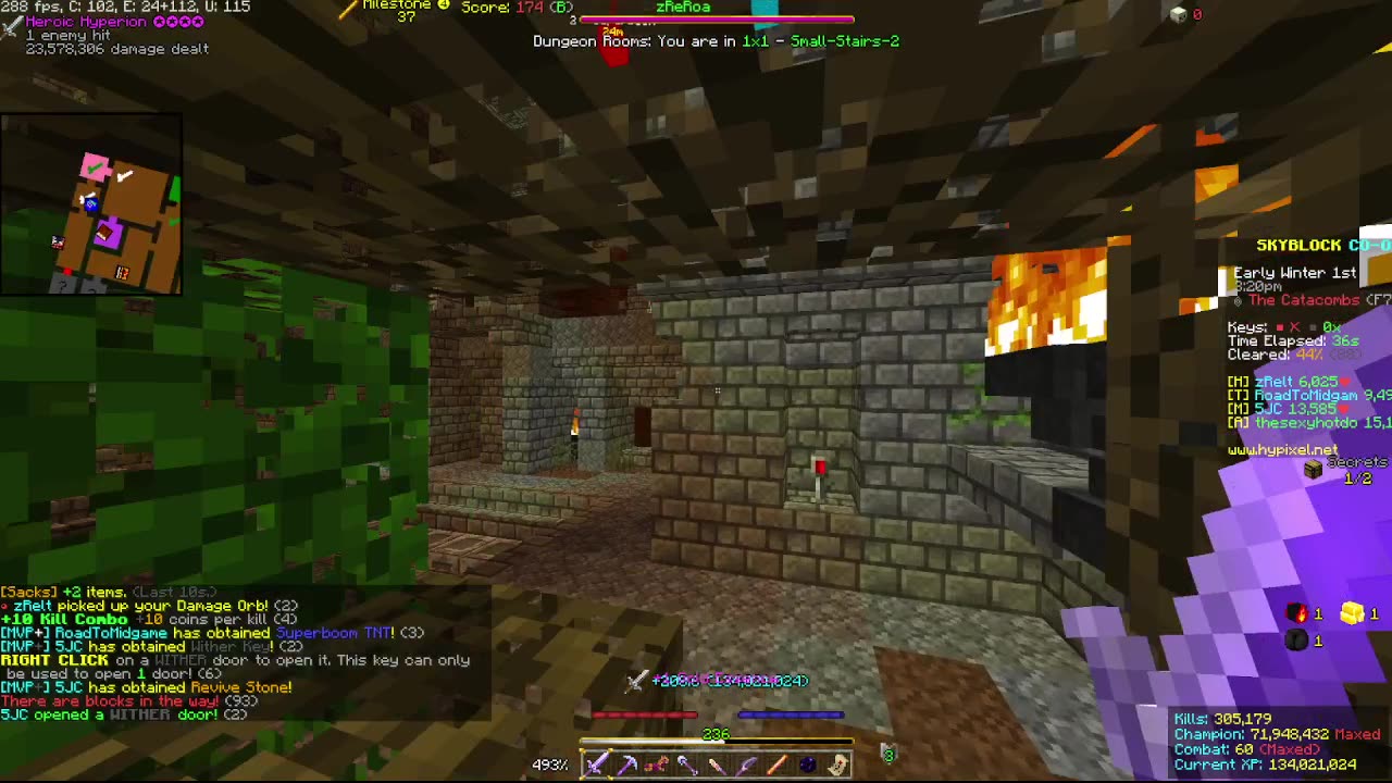 Skyblock FLOOR 7 [#2172]