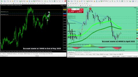 Live Stream Gold and BTC Trading from Monday to Sunday