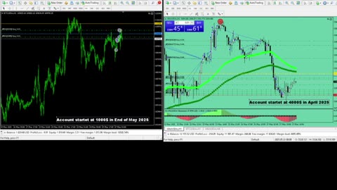 Live Stream Gold and BTC Trading from Monday to Sunday