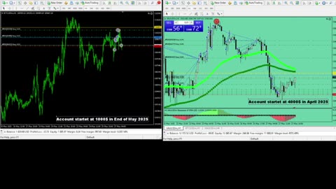 Live Stream Gold and BTC Trading from Monday to Sunday