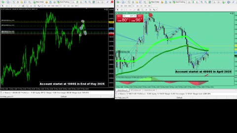 Live Stream Gold and BTC Trading from Monday to Sunday