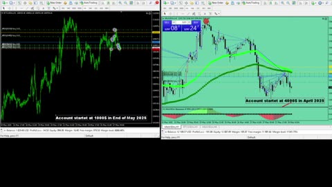 Live Stream Gold and BTC Trading from Monday to Sunday