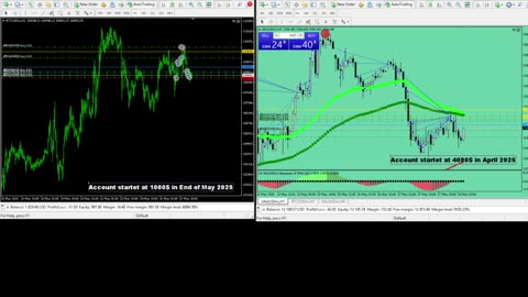 Live Stream Gold and BTC Trading from Monday to Sunday