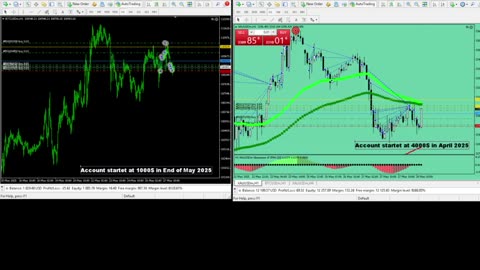 Live Stream Gold and BTC Trading from Monday to Sunday